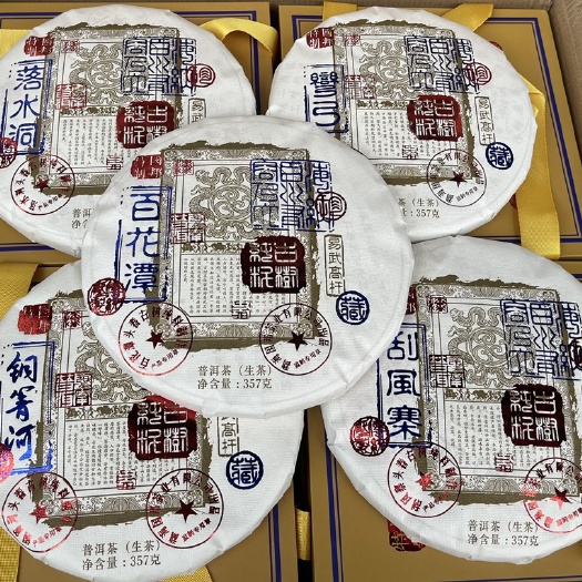 2023头春古树茶易武高杆五大茗山系列