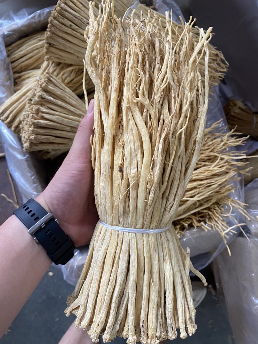 党参中扎0.6-0.8公分足干颜色白亮新货包邮产地直销价格优