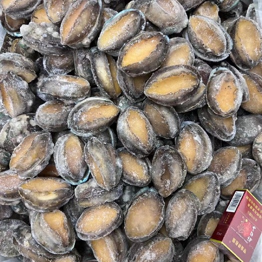 沈阳冰冻鲍鱼 漂烫 活冻规格齐全