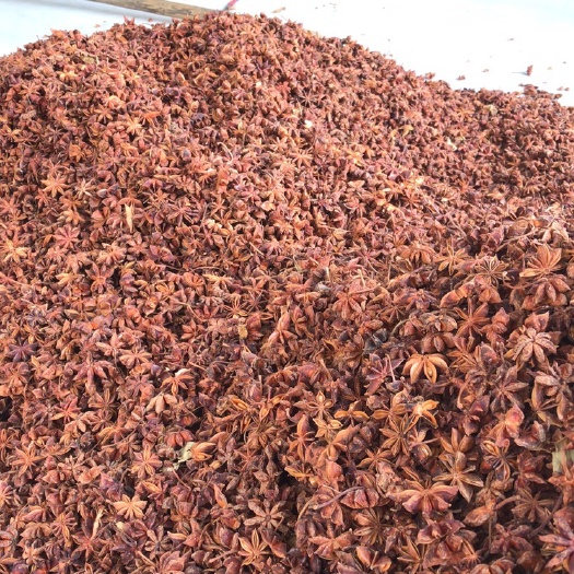 南宁足干八角 产地直销 包邮装箱 大红八角上市 大料 卤肉料