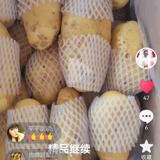 肥城市山东泰安四两通天精品冷库货