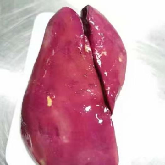 广州鹅肝