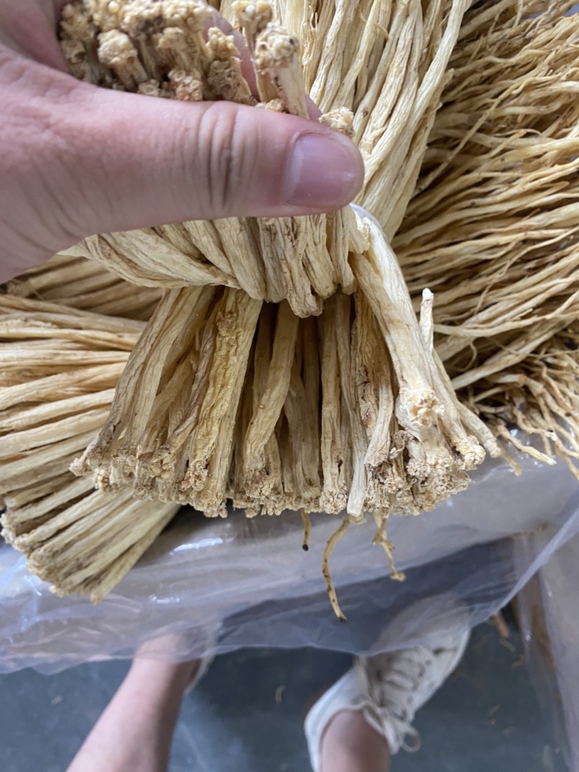 党参中扎0.6-0.8公分足干颜色白亮新货包邮产地直销价格优