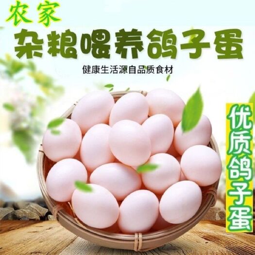 内江鸽子蛋  一件代发精品鸽蛋，新鲜公母鸽蛋，肉鸽蛋，电商高利润