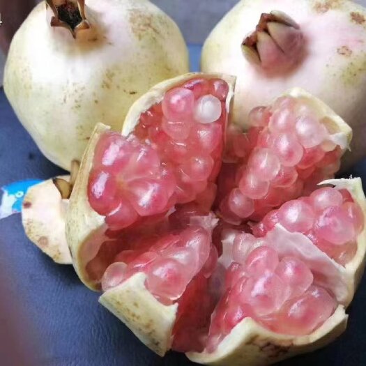 蒙自市蒙自石榴