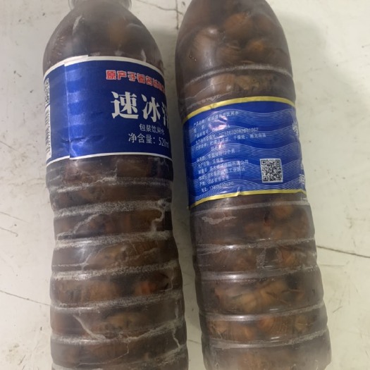 东台市金蝉