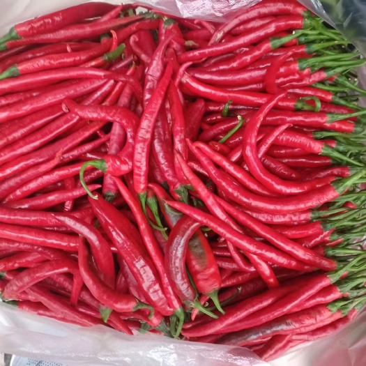 兴义市工厂红线椒大量有货 市场货、酱厂货大量供应诚信经营 全国发货