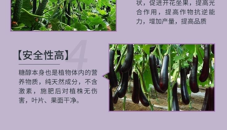 纽罗兰糖醇锌鳌合锌微量元素叶面肥通用预防小叶黄化改善品质