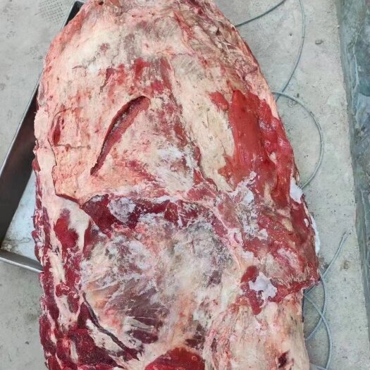海兴县牛肋排 多肉牛排