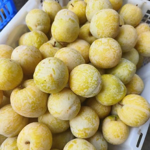 汝城县黄金奈李