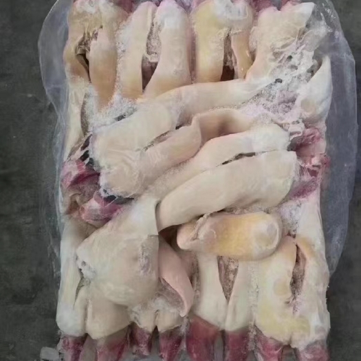 半去骨牛蹄，实拍图片