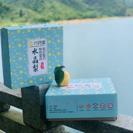 连州水晶梨