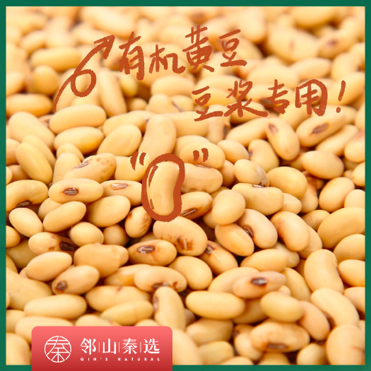 柞水县肾形黄豆