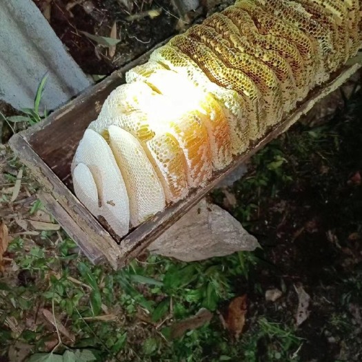 平武县平武百花蜂蜜