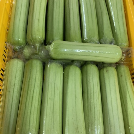 株洲本地丝瓜