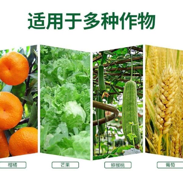 磷酸脲农业磷酸尿用于盐碱地土壤修复改善土壤植物农用氮磷肥料