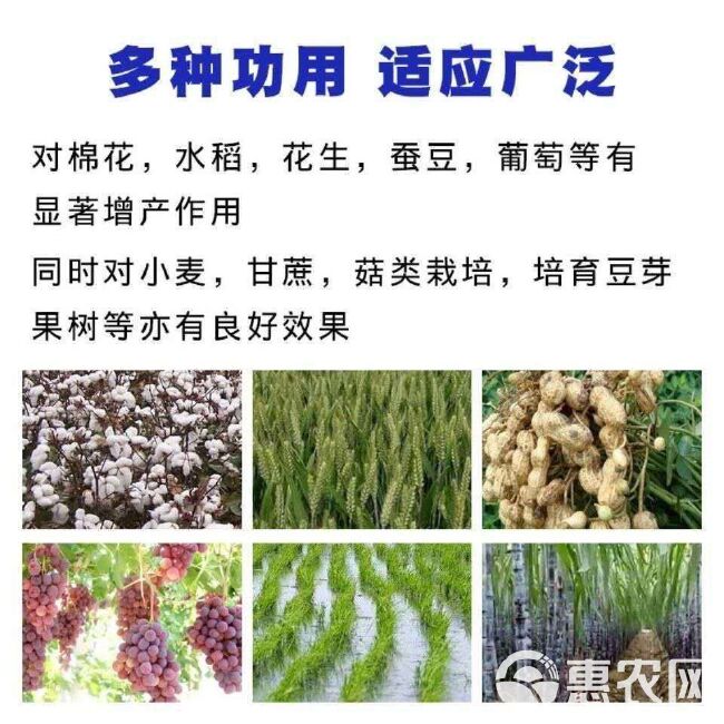 磷酸脲农业磷酸尿用于盐碱地土壤修复改善土壤植物农用氮磷肥料