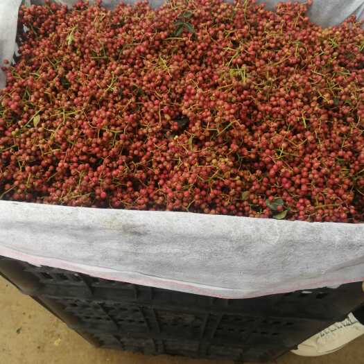 合阳县大红袍花椒