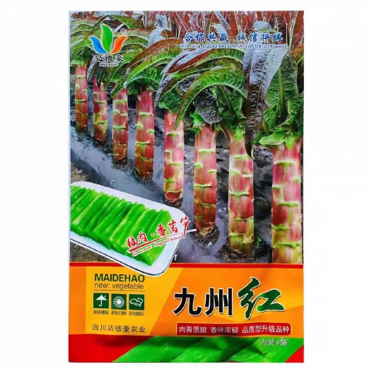 九州红莴笋种子红尖叶耐寒绿肉清香抗病农家春秋冬红莴笋种籽