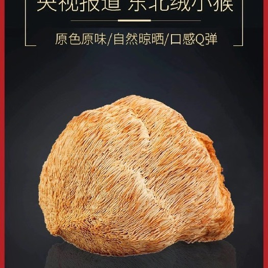 海林市东北最大的猴头菇种植基地