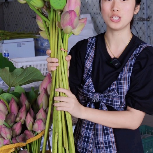 洪湖新鲜荷花（标注价格为顺丰包邮价格，不用额外加运费）