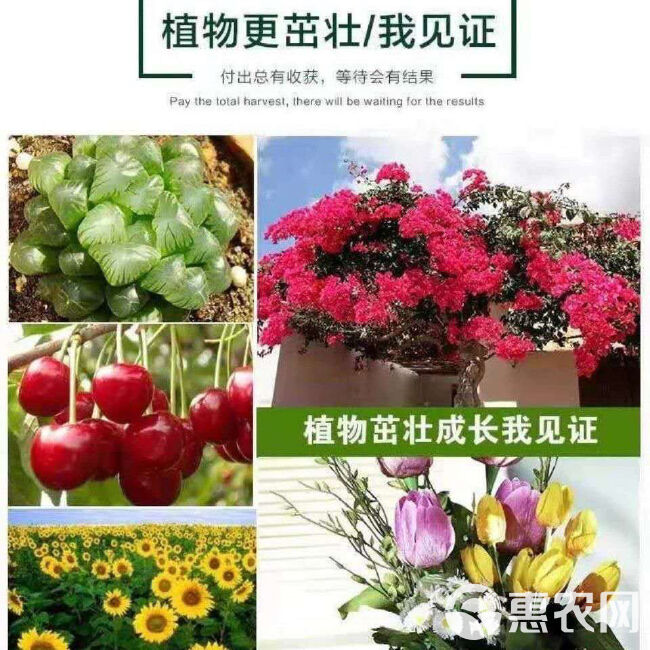 磷酸脲农业磷酸尿用于盐碱地土壤修复改善土壤植物农用氮磷肥料