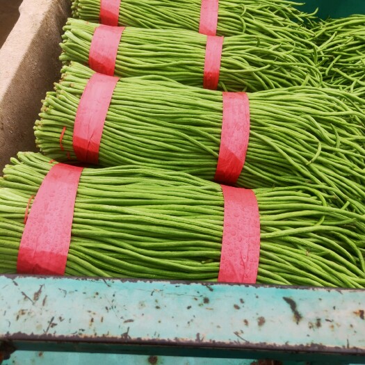 邯郸长寿菜