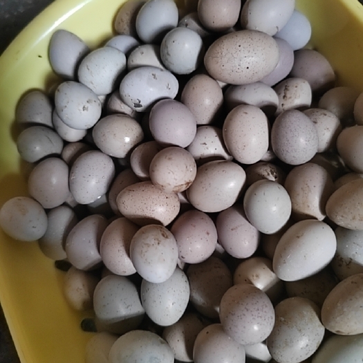 桂阳县芦丁鸡蛋，营养价值高，口感细腻，无腥味。