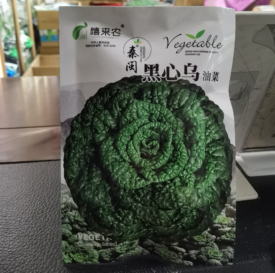 西安黑心乌种子黑乌菜籽白菜籽乌塌菜种籽耐寒春季秋冬季盆栽蔬菜种孑