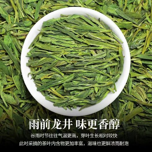 龙井茶叶 2023新茶雨前高山春茶豆香型嫩芽