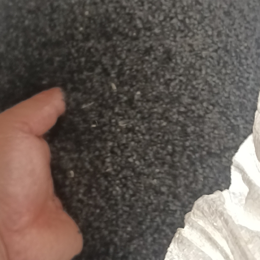 潍坊小葱种子 今年最新繁育的质量好芽率齐易管理