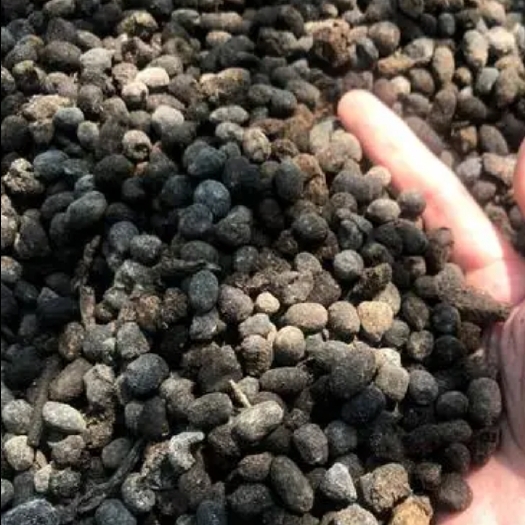 商丘纯羊粪