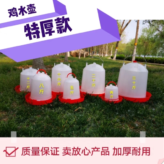 福安市鸡用饮水器水壶饲料桶小鸡饮水设备饮水器