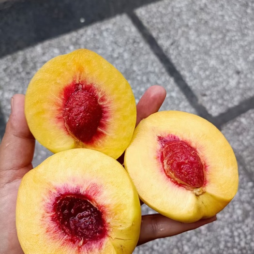 炎陵县炎陵高山锦绣黄桃