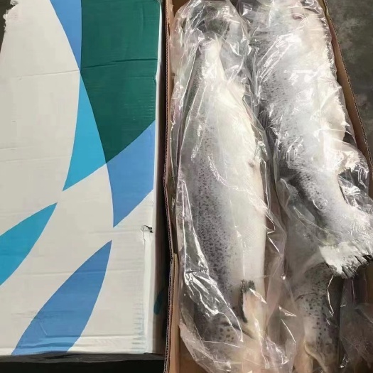 佛山三文鱼
