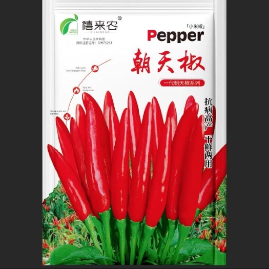 西安朝天椒辣椒种子小米椒四季辣椒苗秧盆栽辣椒蔬菜种子
