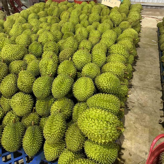 凭祥市越南干尧
