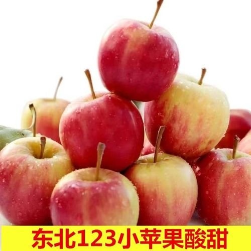 开原市123小苹果