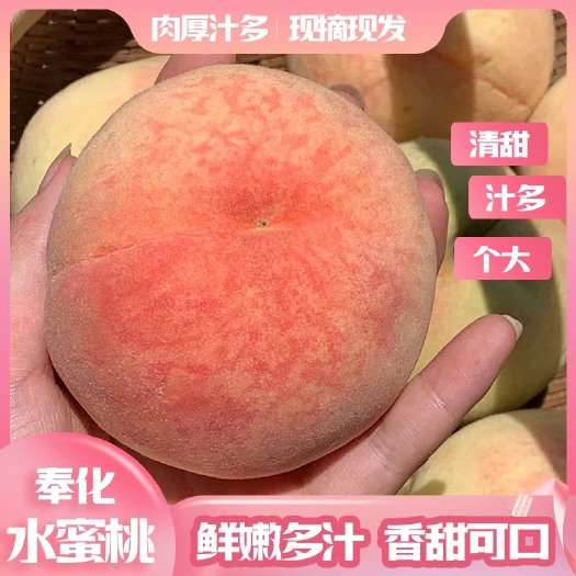 宁波上品行奉化水蜜桃