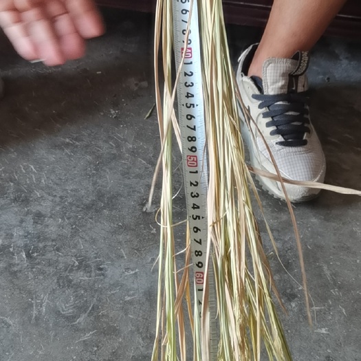 重庆市稻草
