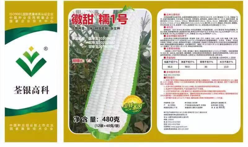 乾安县白甜糯鲜食玉米