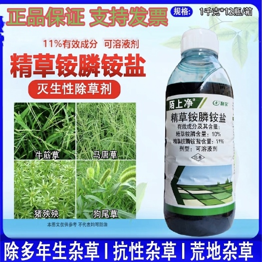 潍坊利尔陌上净10%精草铵膦草铵膦草铵磷草胺磷 牛筋草小飞蓬除草
