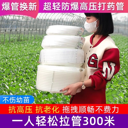 临沂打药管草上飞
