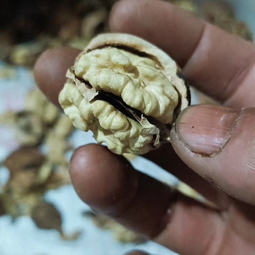 景东县云南薄皮麻子核桃103纸皮香甜核桃原产地直发质量保证量大优惠