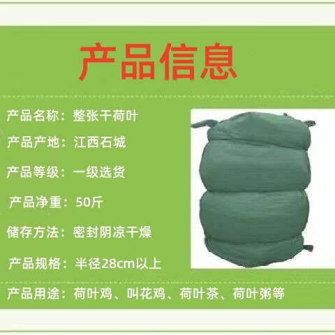 石城县江西荷叶选货半径大于25cm 荷叶鸡叫花鸡荷叶茶