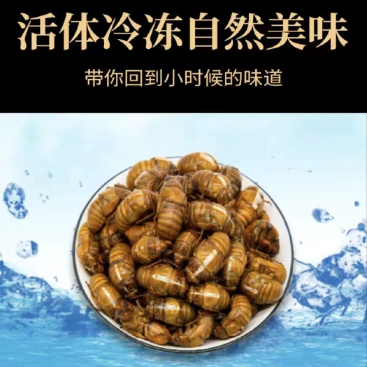 灵宝市2025年新货上架小金蝉