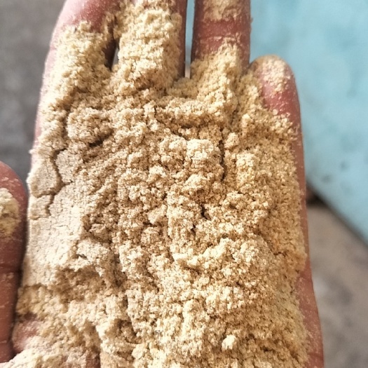 广州米糠低价出售