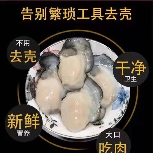 连云港【新鲜现剥】新鲜生蚝肉去壳海蛎子肉牡蛎肉火锅食材烧烤海鲜批发