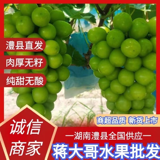 澧县阳光玫瑰香印大量上市了