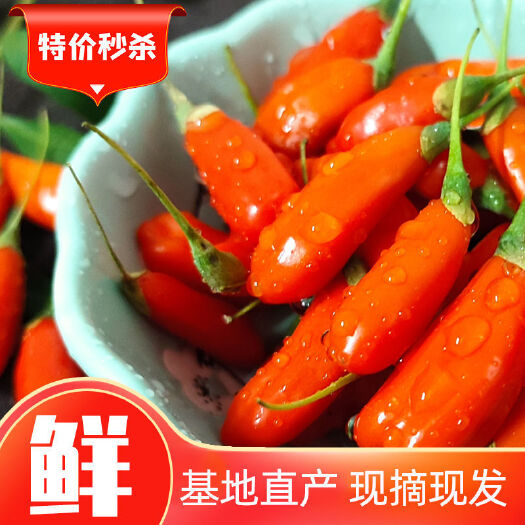 银川宁夏鲜果枸杞尝鲜季不要错过新鲜枸杞沙拉果子汁多饱满可口香甜